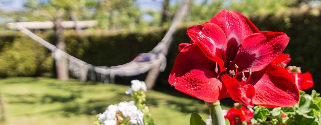 Casa De Marcelo Konuk evi Padrón Dış mekan fotoğraf